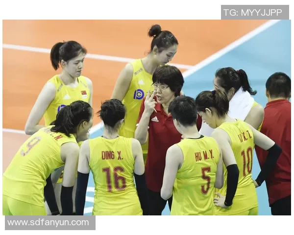 上海排球队的节奏与战术探讨聚焦排球的魅力与挑战