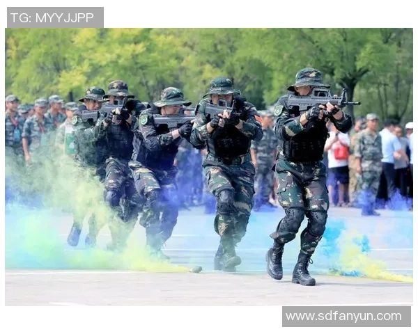 北京排球队阵地战革新探索新战术提升竞技水平与团队协作能力