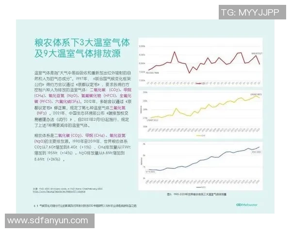广州羽毛球队个人能力提升之路探讨与分析 广州羽毛球队个人能力提升之路探讨与分析