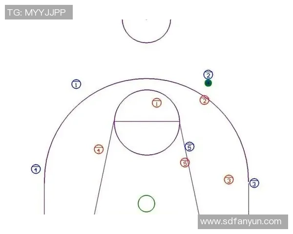 武汉篮球队区域防守战术解析与深度剖析