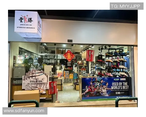 南京羽毛球队转型之路的挑战与机遇全景揭秘