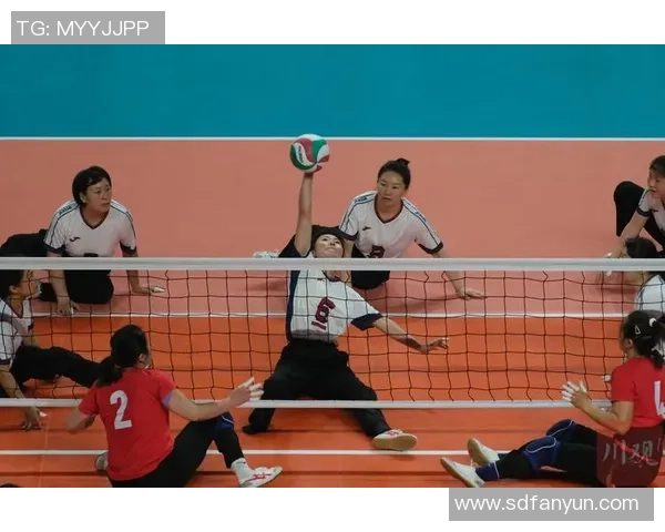 成都排球队荣登排球战术排行榜第十位展现实力与潜力