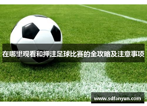在哪里观看和押注足球比赛的全攻略及注意事项