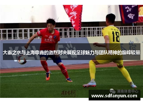 大秦之水与上海申鑫的激烈对决展现足球魅力与团队精神的巅峰较量